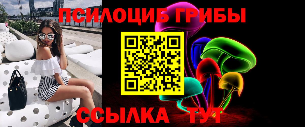 Псилоцибиновые грибы Psilocybine cubensis  Вход с VPN  даркнет сайт  Кизляр 