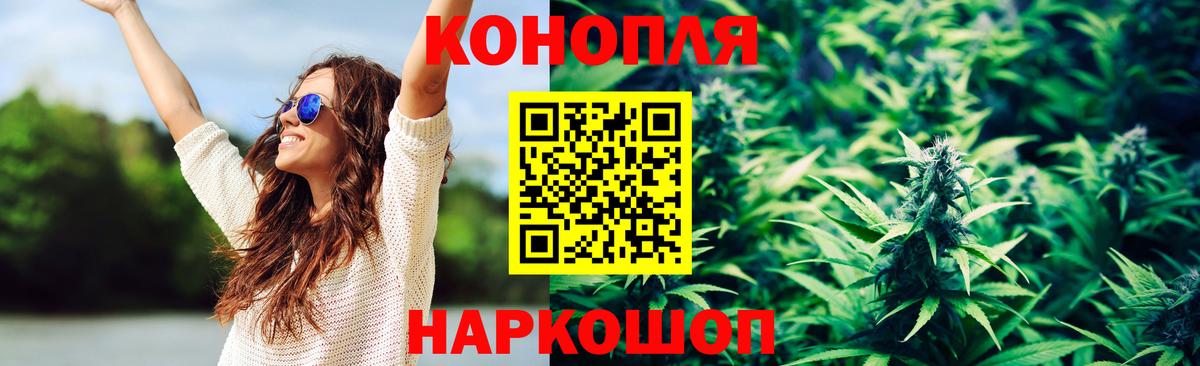 Шишки марихуана сатива Кизляр
